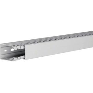 Hager HA760040 Kabelgoot (l x b x h) 2000 x 40 x 60 mm 1 stuk(s) Lichtgrijs