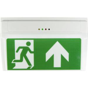 B-SAFETY BR530030 LED-vluchtwegverlichting Plafondopbouwmontage, Wandopbouwmontage Uitgang, Vluchtweg, Rechts, Links