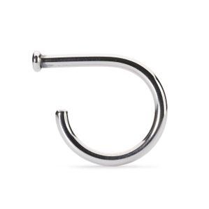 Trollbeads TAGRI-00357 Verander Ring zilver Maat 57-58