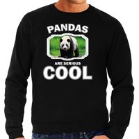 Sweater pandas are serious cool zwart heren - pandaberen/ grote panda trui 2XL  -