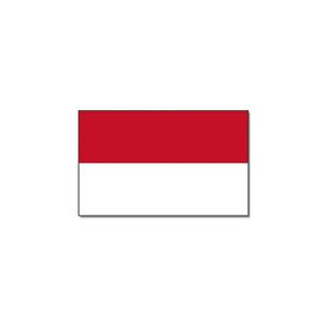 Landen thema vlag Indonesie 90 x 150 cm feestversiering