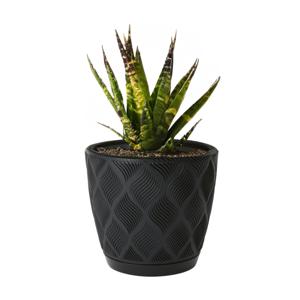 Form Plastic Plantenpot/bloempot New Age - kunststof - zwart - D15 x H14 cm