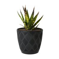 Form Plastic Plantenpot/bloempot New Age - kunststof - zwart - D15 x H14 cm - thumbnail