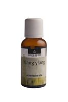 Ylang ylang olie Ylang ylang olie