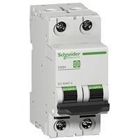 Schneider Electric M9F14206 Zekeringautomaat