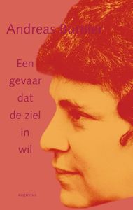 Een gevaar dat de ziel in wil - Andreas Burnier - ebook