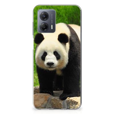 Motorola Moto G53 | TPU Hoesje | Panda Motorola Moto G53 | TPU Hoesje | Panda