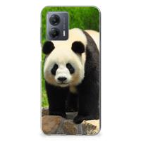 Motorola Moto G53 | TPU Hoesje | Panda