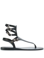 Ancient Greek Sandals sandales Themis - Noir