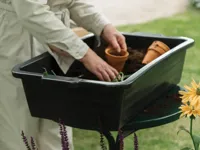 Royal Well | Maxi Container 40 liter