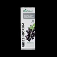 Soria Natural Ribes nigrum extract XXI 50 Milliliter
