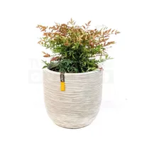 Pot bol Rib NL 43x41 ivoor + Nandina