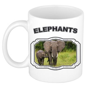 Dieren olifant met kalf beker - elephants/ olifanten mok wit 300 ml