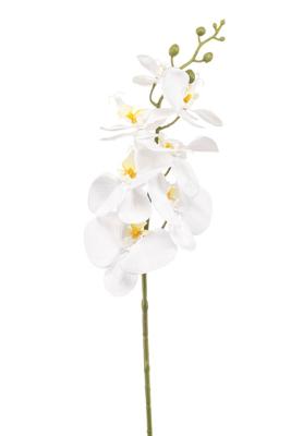 Phalaenopsis spray white 84 cm - Emerald