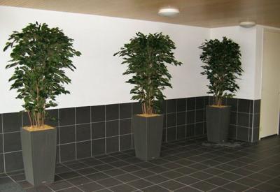 Ficus Exotica deluxe kunstplant 180cm - groen - FR - brandvertragend