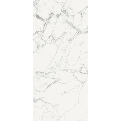 Douglas & Jones Vloertegel 120x280 cm Magnum Glans Blanc - Vloertegel 120x280 cm Magnum Glans Blanc (prijs Per Tegel)