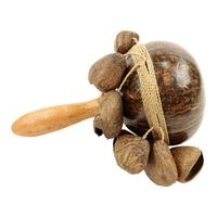Rammelaar Kokosnoot met Kleine Kokosnoten - thumbnail