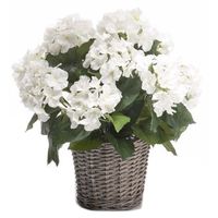 Kunstplant witte Hortensia in mand 45 cm   -