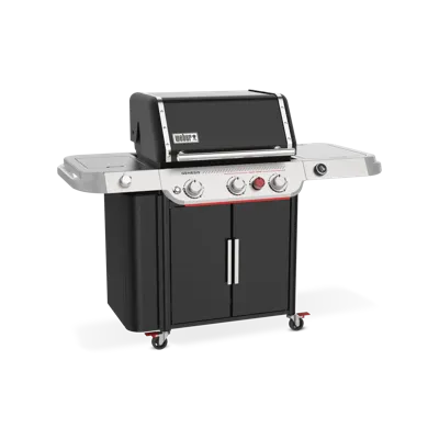 Gasbarbecue genesis ep-335w