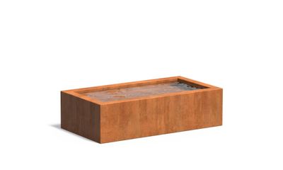 Cortenstaal vijverbak 150x80x40cm.