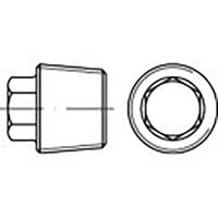 TOOLCRAFT TO-6855795 Sluitschroeven M30 Buitenzeskant DIN 909 Staal 10 stuk(s)