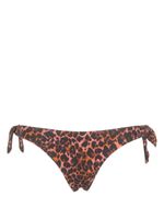 Marlies Dekkers bas de bikini Jungle - Marron - thumbnail