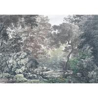 Fotobehang - Fairytale Forest 400x280cm - Vliesbehang