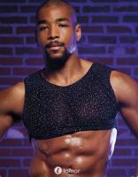 * CALEXOTICS Radiance Crop Top, CE12273