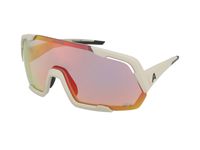 Zonnebrillen Alpina Rocket QV Cool-Grey Matt