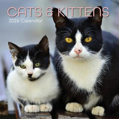 Katten & Kittens Kalender 2026