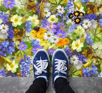 Vinyl vloerkleed Bloemen en planten Ander soort bloemenveld