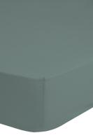 Goodmorning Jersey Hoeslaken Misty Green-Lits-jumeaux (160/180x200 cm) - thumbnail