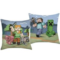 Minecraft Kussen, Overworld - 40 x 40 cm - Polyester - thumbnail