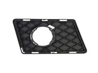 Ventilatiegrille, bumper 6502073580916P