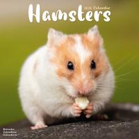Hamster Kalender 2026