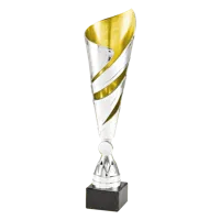 Sportprijzen Leiden Trofee 100.33