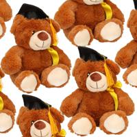 Pakket van 8x stuks geslaagd thema cadeau pluche knuffel beertjes bruin 20 cm