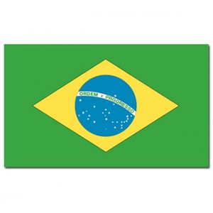 Landen thema vlag Brazilie 90 x 150 cm feestversiering