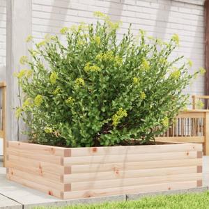 VidaXL Plantenbak 80x80x23 cm massief grenenhout