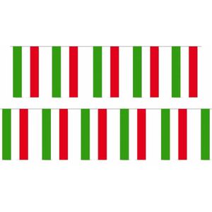 2x Papieren vlaggenlijn Hongarije landen decoratie   -