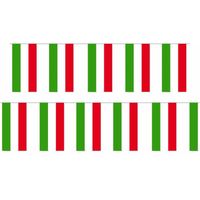 2x Papieren vlaggenlijn Hongarije landen decoratie   -