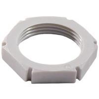 Wiska Wartelmoer pg29