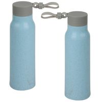 2x Stuks glazen waterfles/drinkfles blauwe coating met kunststof schroefdop 300 ml - Drinkflessen