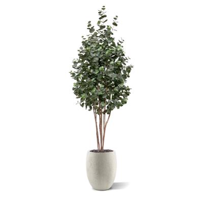 Eucalyptus Kunstboom 205cm