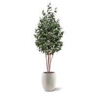 Eucalyptus Kunstboom 205cm