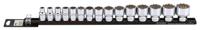 Doppenset 1/2", 12-kant (SAE) 15-dlg. op rail 301503
