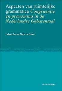Aspecten van ruimtelijke grammatica (Hardback)