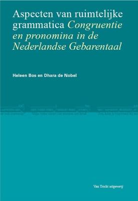 Aspecten van ruimtelijke grammatica (Hardback)