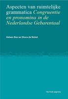 Aspecten van ruimtelijke grammatica (Hardback)