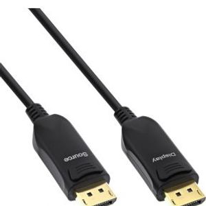 InLine 17210I DisplayPort kabel 10 m Zwart